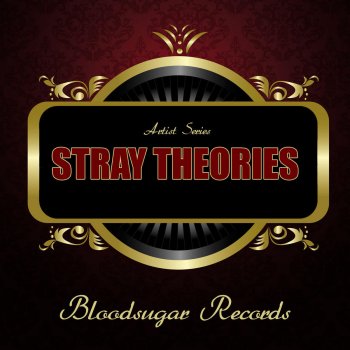 Stray Theories Reflections