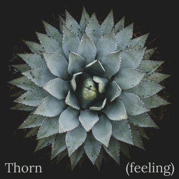 Harryson Thorn (Feeling) [Extended Mix]