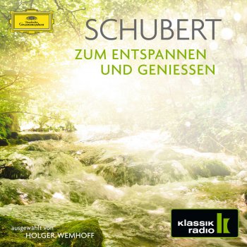 Chamber Orchestra of Europe feat. Claudio Abbado Rosamunde, Op. 26, D. 797: Entr'acte No. 3 (Andantino)
