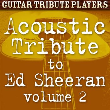 Guitar Tribute Players Nina