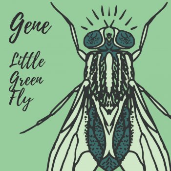 Gene Little Green Fly