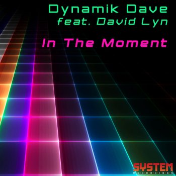 Dynamik Dave In the Moment (Radio Edit)