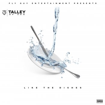 Talley Of 300 Like the Dishes