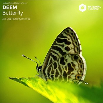 Deem Butterfly