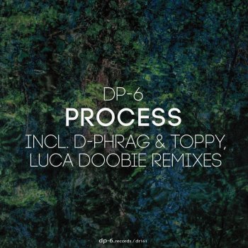 DP-6 Process (Luca Doobie Remix)