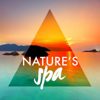 Outside Broadcast Recordings Ornithology