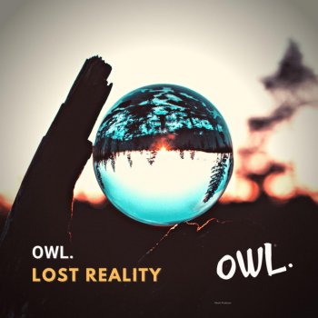 OWL. Lost Reality