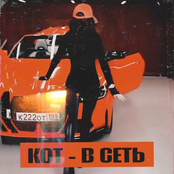 Исполнитель Кот, альбом В сеть