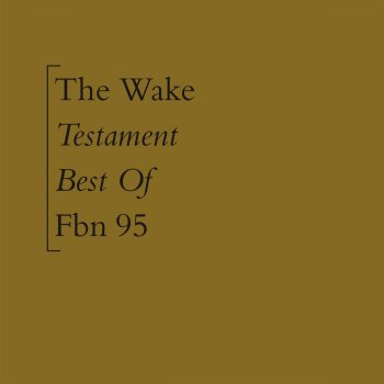 The Wake An Immaculate Conception (live)