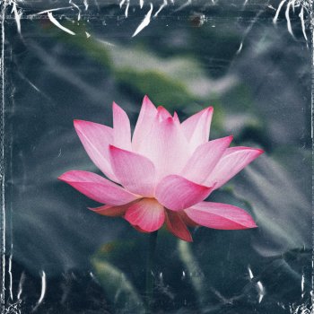 Sto Nii feat. Brenky lotus