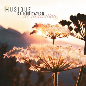 Ensemble de Musique Zen Relaxante Parfaite harmonie