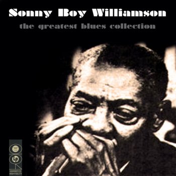 Big Joe Williams feat. Sonny Boy Williamson II Delta Blues