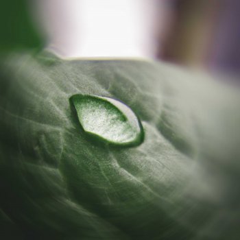 Исполнитель Reyn, альбом Ochite (Rain) - Single