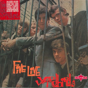 The Yardbirds Got Love If You Want It