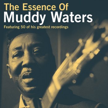 Muddy Waters Screamin' & Cryin'