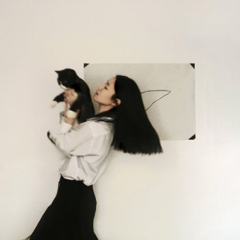 Lang Lee 오리발 나무