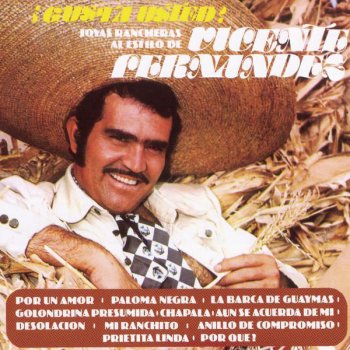 Vicente Fernández Golondrina Presumida