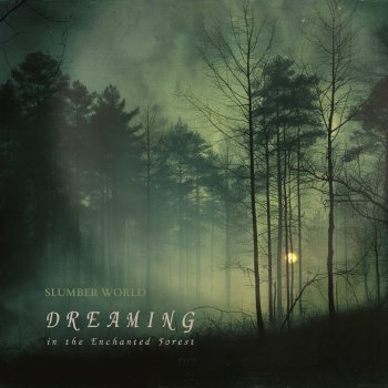 Slumber World Do Not Cry, Forest Sounds