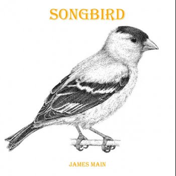 James Main Songbird