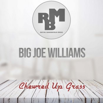 Big Joe Williams Brother James (Original Mix)