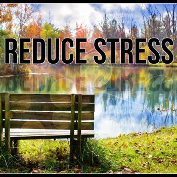 Stress Relief Calm Oasis New Age