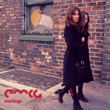 Исполнитель A Man Called Adam, альбом Starlings