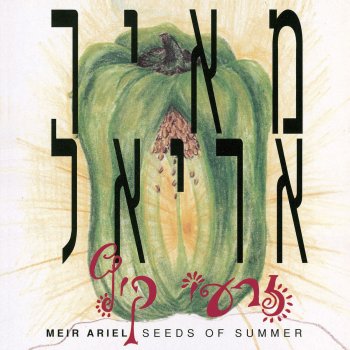 מאיר אריאל קטע קשה