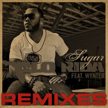 Flo Rida Sugar (Disco Fries Remix)