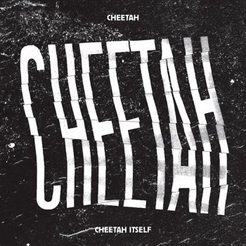 Cheetah 100km - Instrumental