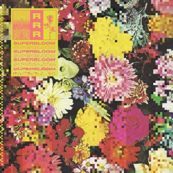 Ra Ra Riot Flowers