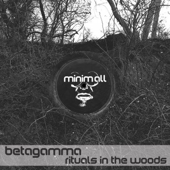 Исполнитель Betagamma, альбом Rituals in the Woods - Single