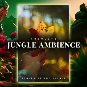 Sounds of the Jungle Restore Common