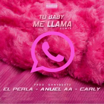 Исполнитель El Perla, альбом Tu Baby Me Llama (Remix)