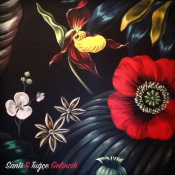 Исполнитель Santi & Tuğçe feat. Tuğçe Kurtiş & Santi, альбом Gelincik