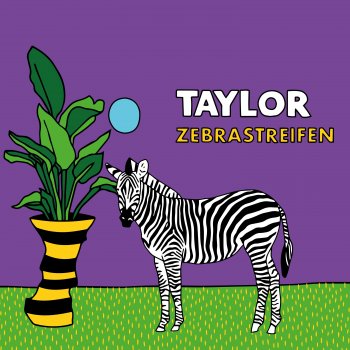 Taylor Zebrastreifen