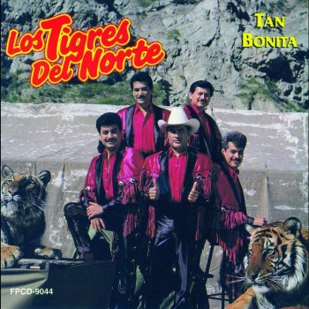 Los Tigres del Norte Ave De Paso