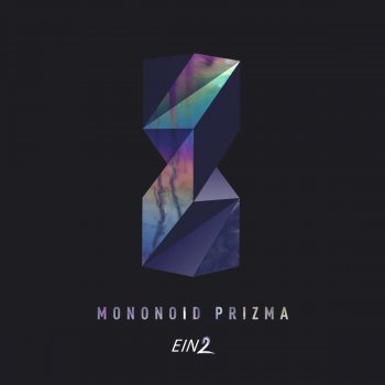 Mononoid Two Types of Tin