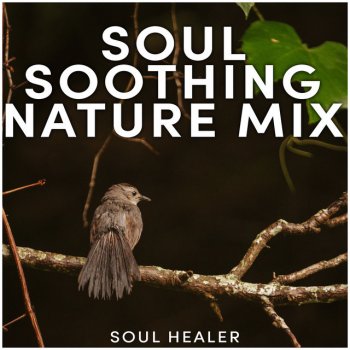 Soul Healer Echoing Cold