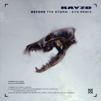 Kayzo feat. blessthefall & SYN Before the Storm (SYN Remix)