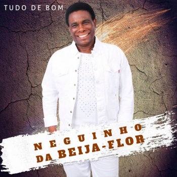 Neguinho Da Beija flor Ricardão Ciumento