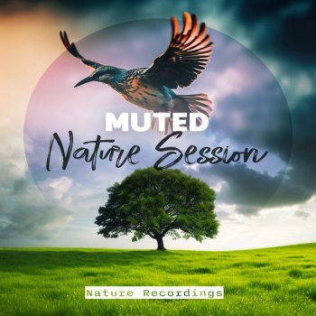 Nature Recordings Hills Sprout