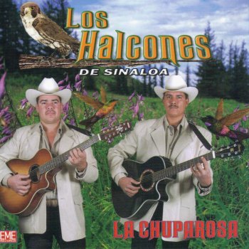 Los Halcones De Sinaloa Esperanza Balero