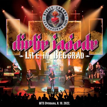 Divlje Jagode Ciganka (Live)