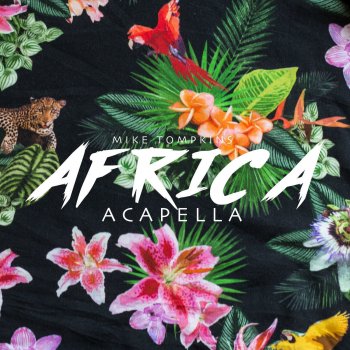 Mike Tompkins Africa (Acapella)