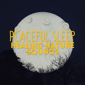 Healing Sounds for Deep Sleep and Relaxation Birds