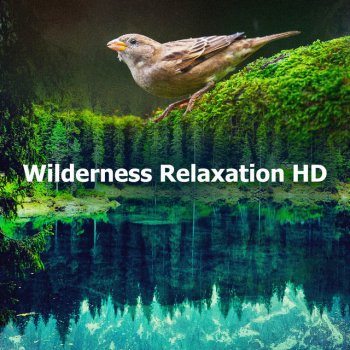 Sound of the Wilderness Nourish Fruit