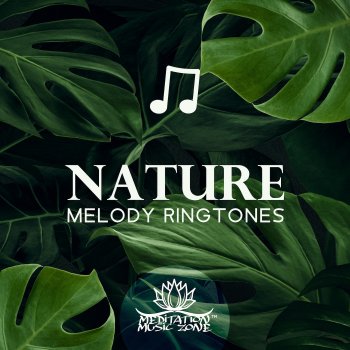 Meditation Music Zone Deep Breath