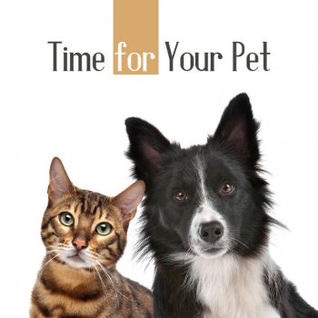 Calm Pets Music Academy Keep Your Animal Silent