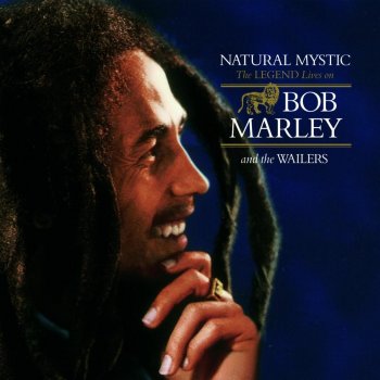 Bob Marley feat. The Wailers Trenchtown Rock (Live)