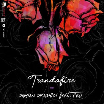 Damian Draghici feat. Felì Trandafire